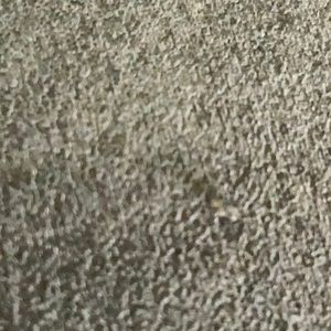 Meet your Posher, Darci